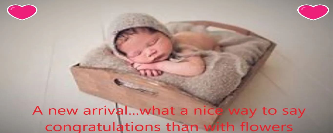 Roy S Flowers Cornwall Ontario Best Flower Site